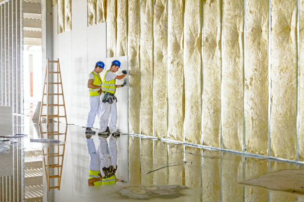 Best Basement Insulation  in Walford, IA